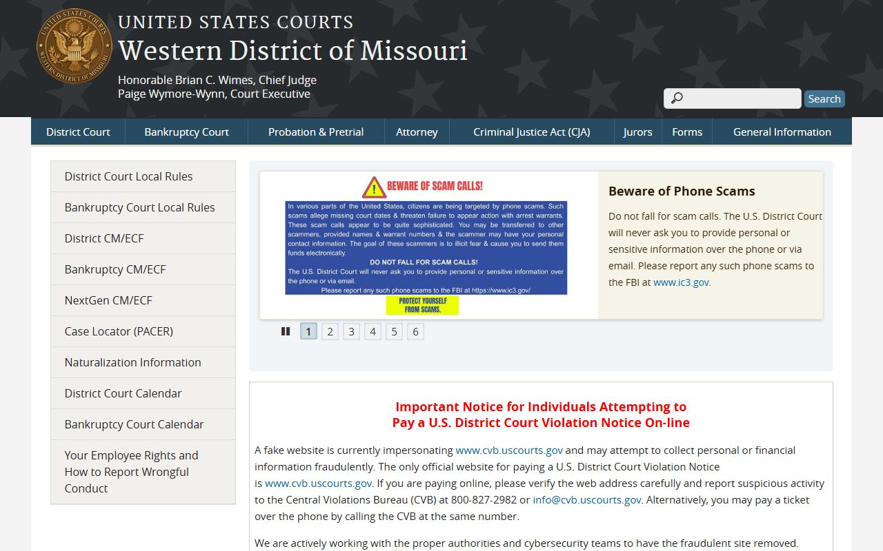 Henry County Circuit Court federal district court distinction